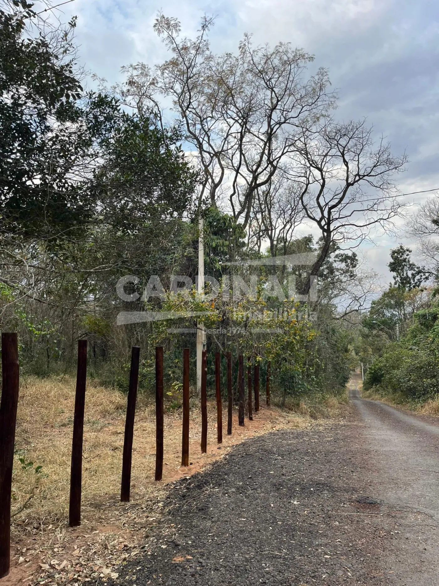 Rural / Ch&aacute;cara em S&atilde;o Carlos 