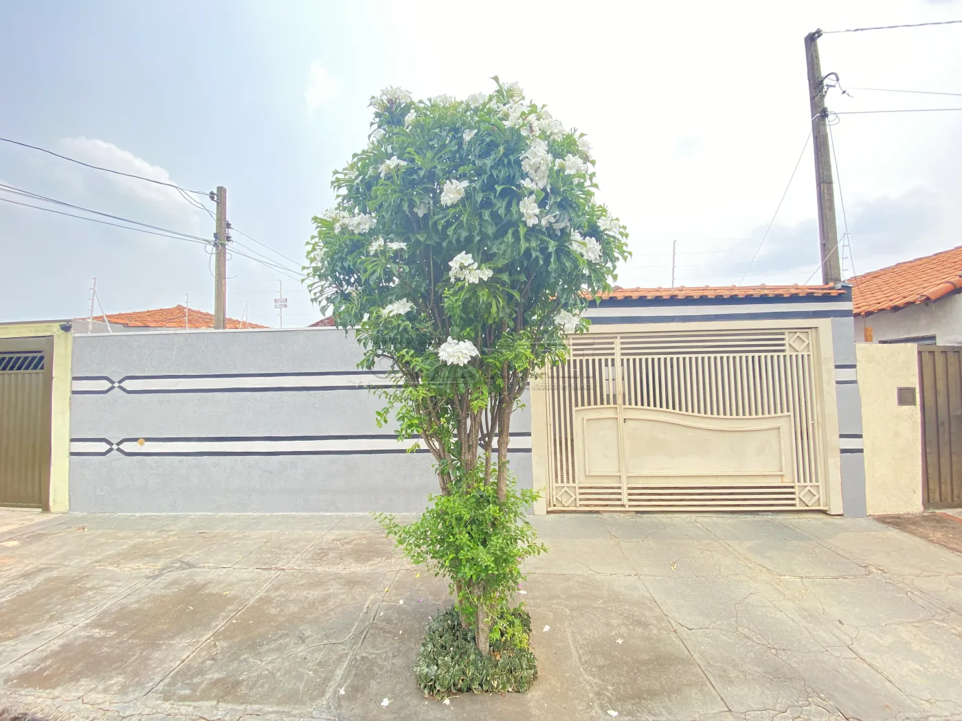 Casa / Padr&atilde;o em S&atilde;o Carlos 