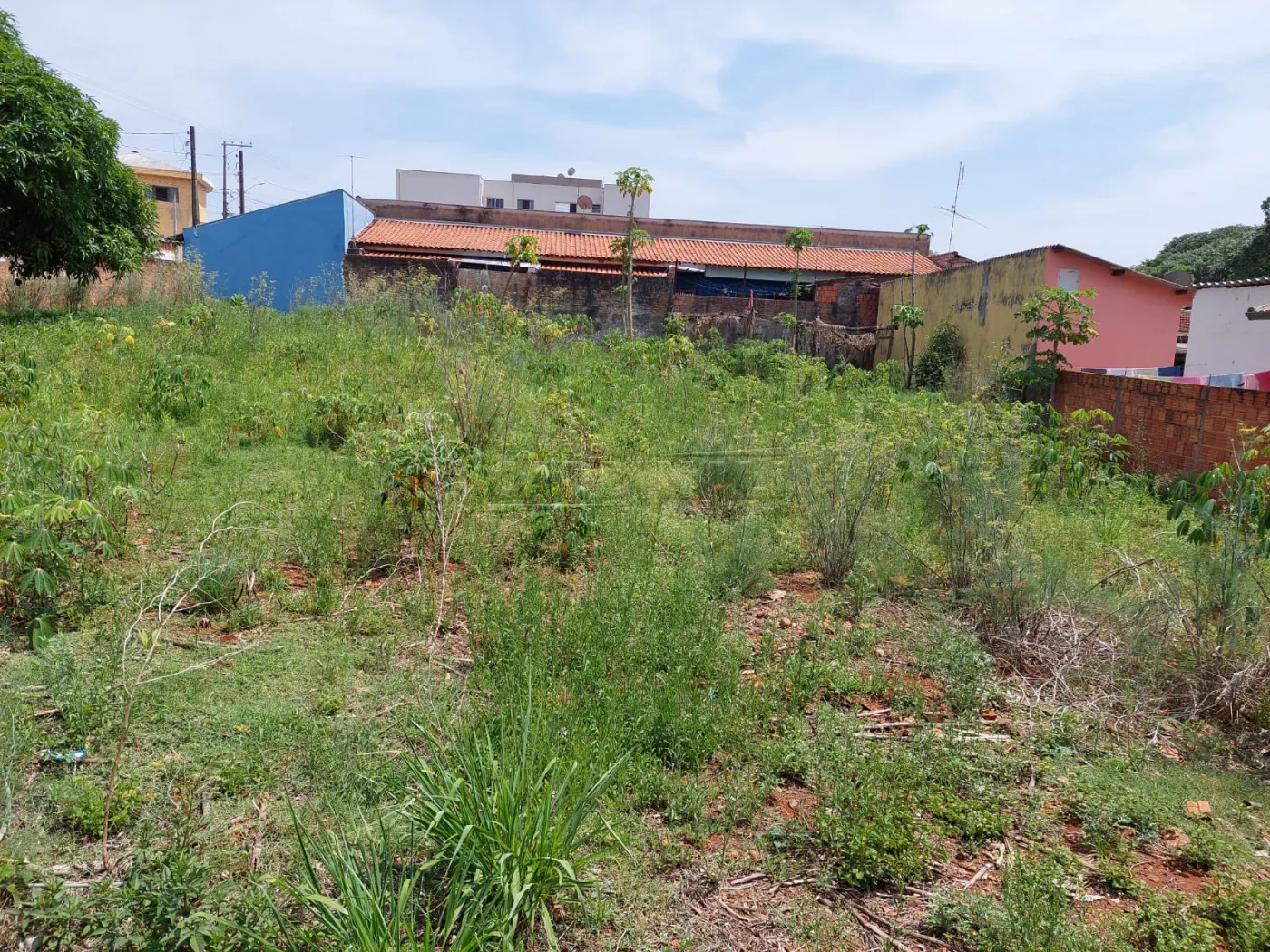 Comprar Terreno / Padr&atilde;o em S&atilde;o Carlos R$ 532.000,00 - Foto 5