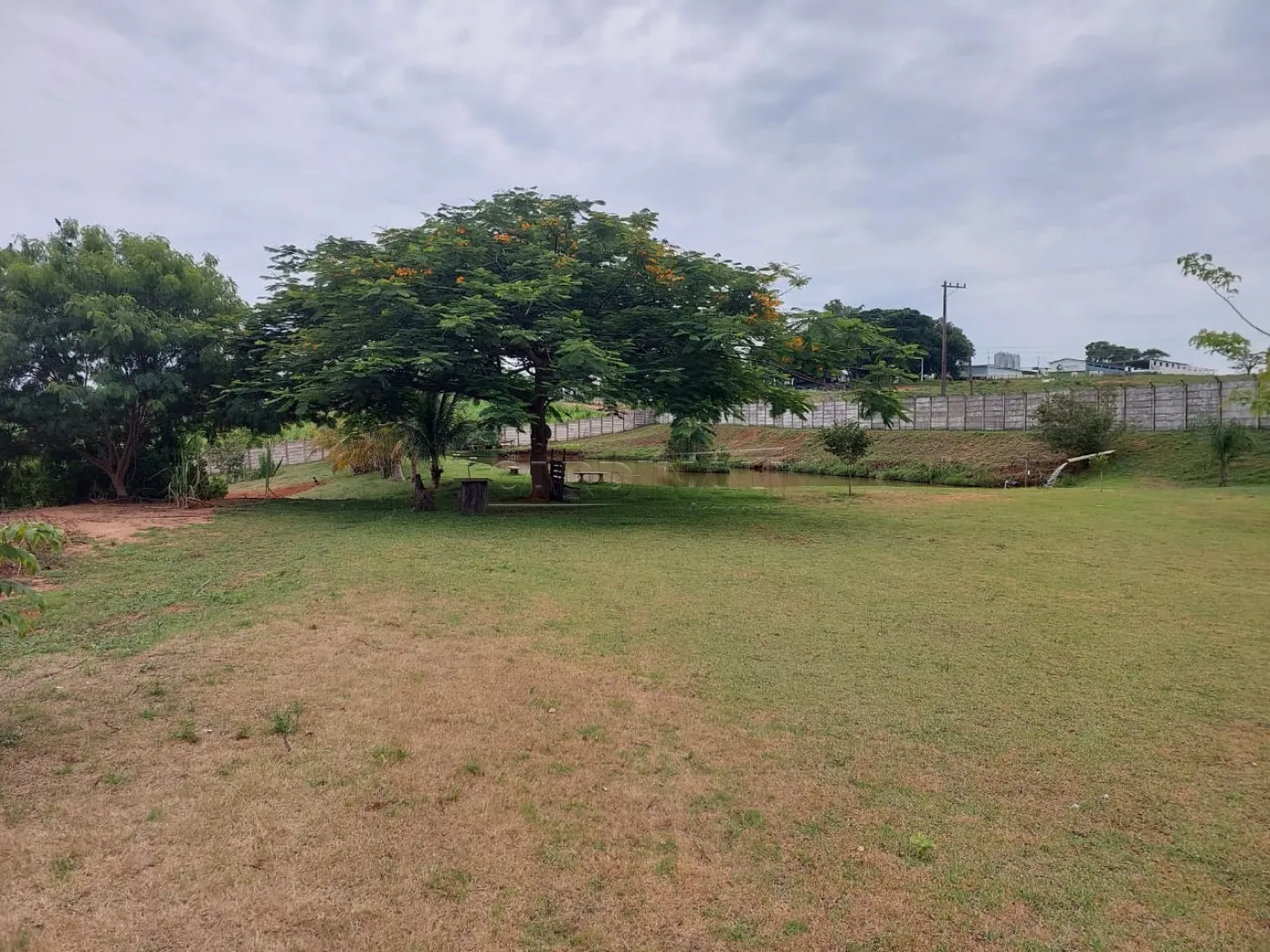 Rural / Ch&aacute;cara em Descalvado 