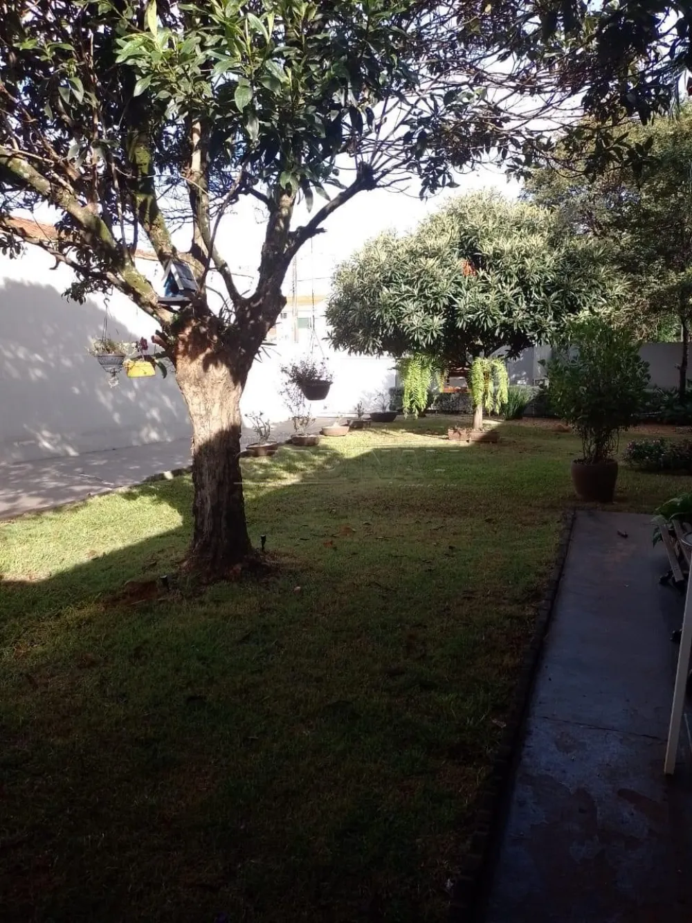 Alugar Casa / Padr&atilde;o em Araraquara R$ 3.000,00 - Foto 3