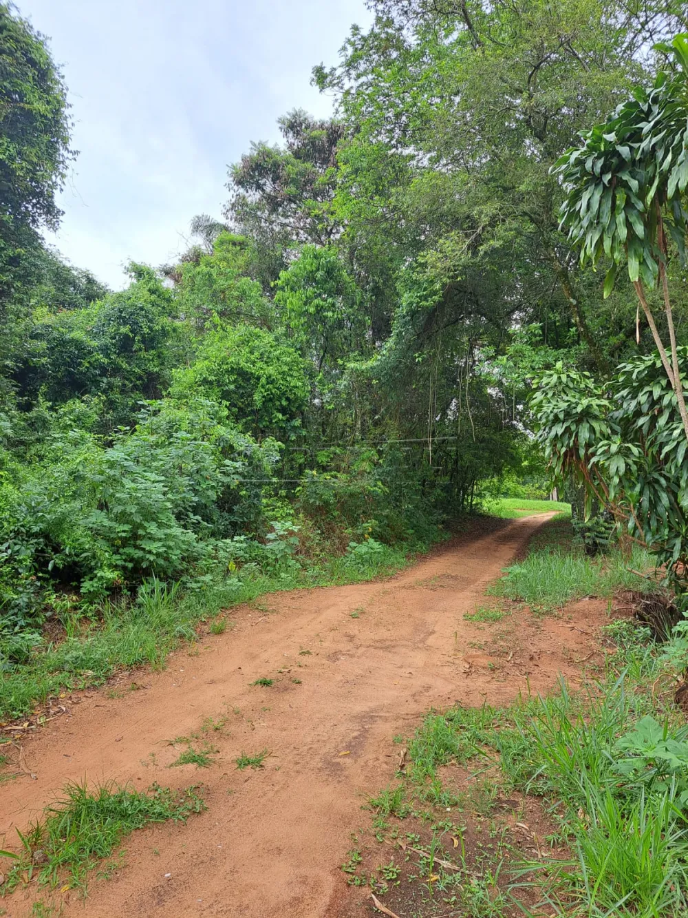 Comprar Rural / Terreno com condom&iacute;nio em S&atilde;o Carlos R$ 745.000,00 - Foto 1