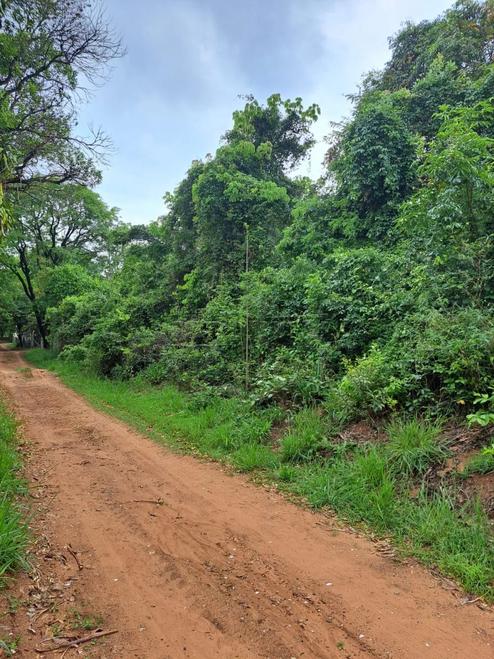 Comprar Rural / Terreno com condom&iacute;nio em S&atilde;o Carlos R$ 745.000,00 - Foto 3