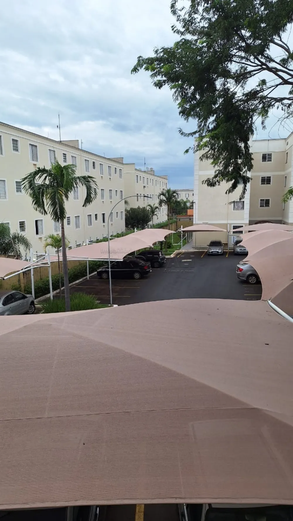 Alugar Apartamento / Padr&atilde;o em Araraquara R$ 900,00 - Foto 15