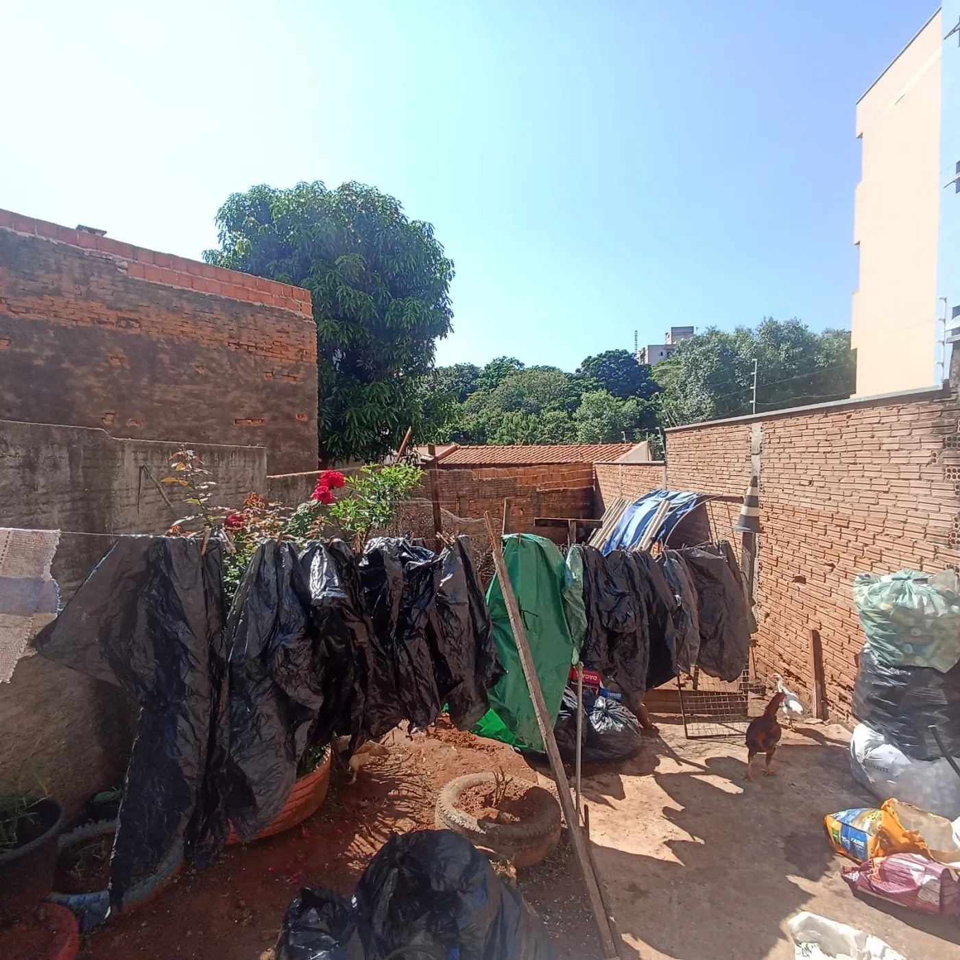 Comprar Casa / Padr&atilde;o em S&atilde;o Carlos R$ 320.000,00 - Foto 8