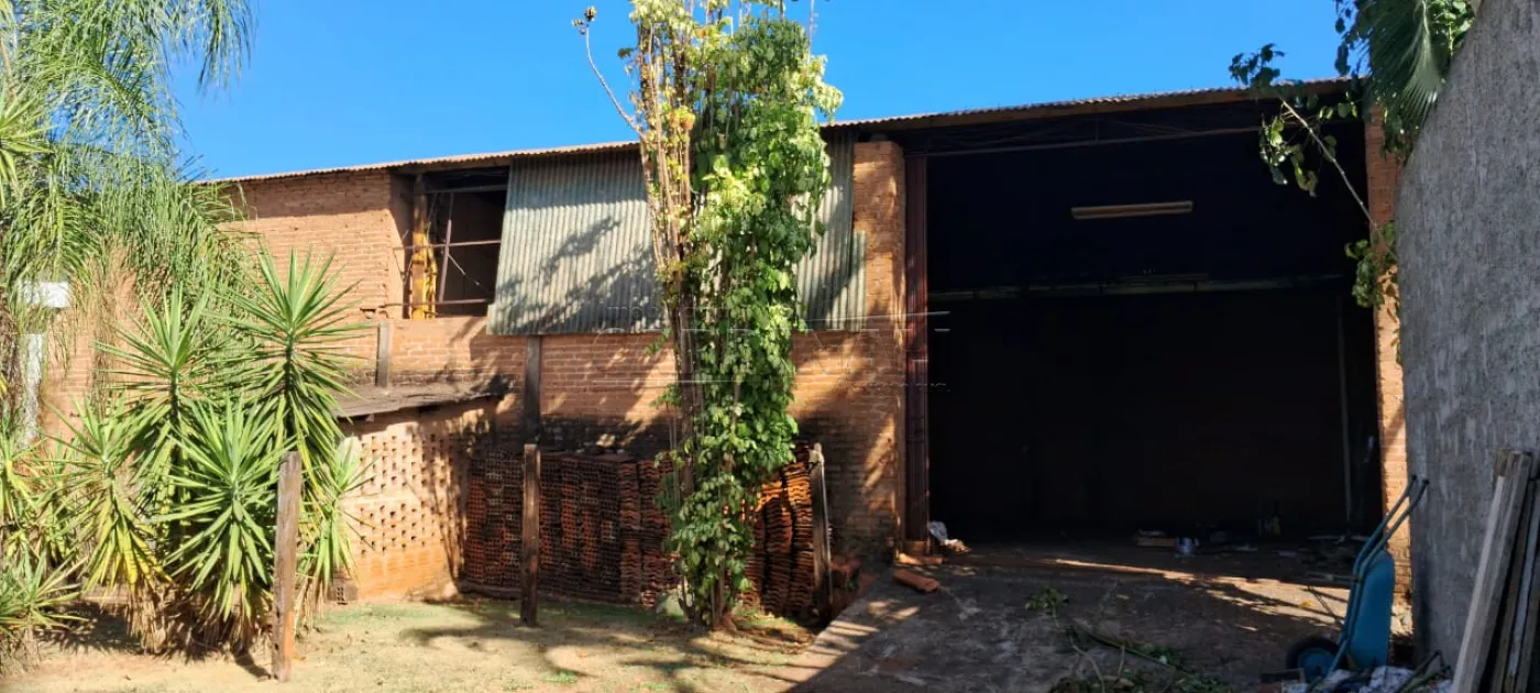 Comercial / Sal&atilde;o sem Condom&iacute;nio em Araraquara Alugar por R$5.600,00