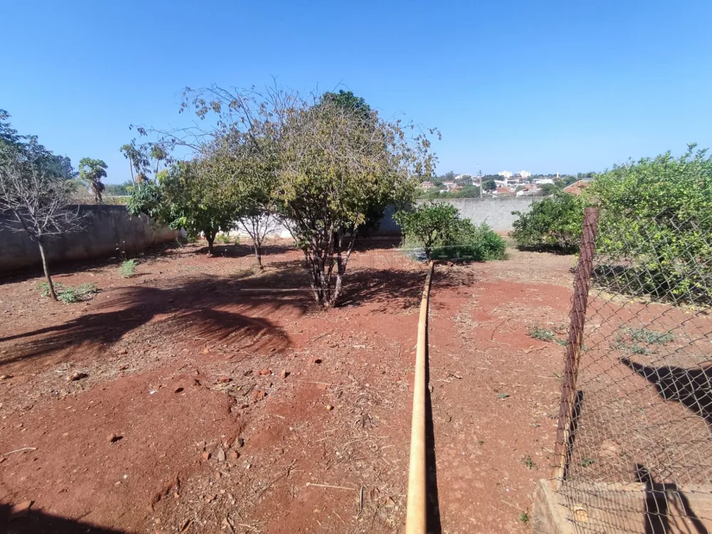 Comprar Casa / Padr&atilde;o em Araraquara R$ 990.000,00 - Foto 23