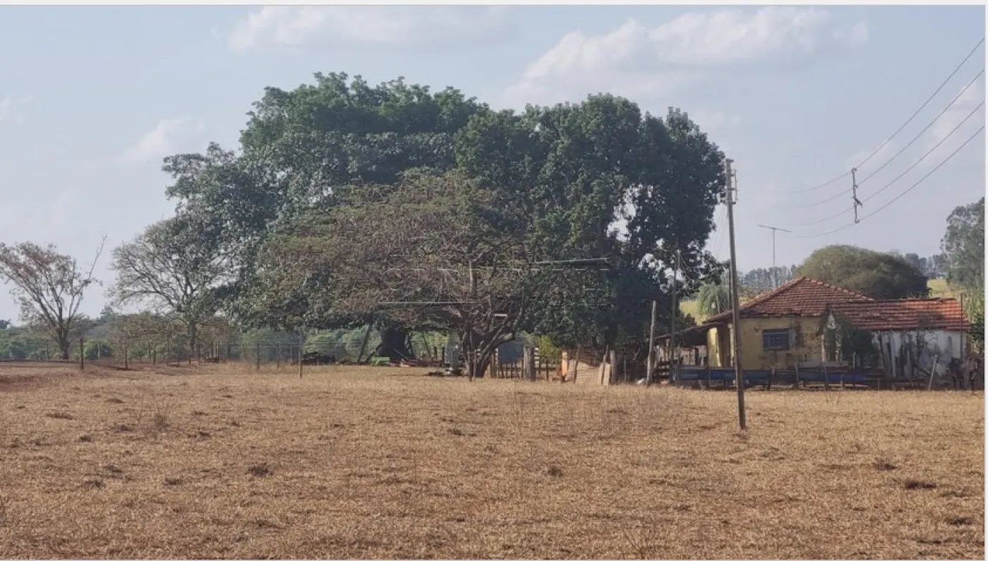 Comprar Rural / &Aacute;rea em Borborema R$ 1.200.000,00 - Foto 5