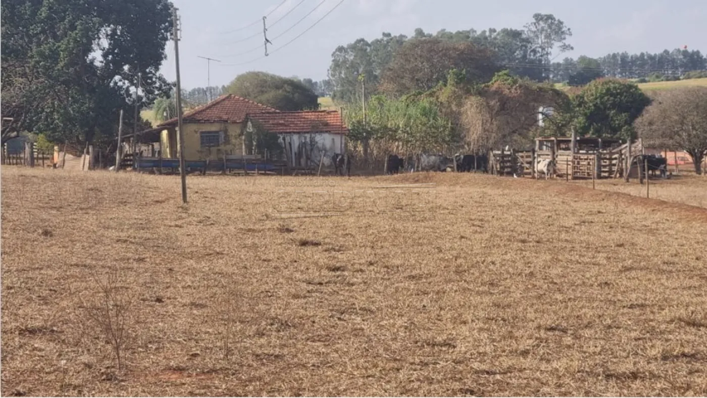 Comprar Rural / &Aacute;rea em Borborema R$ 1.200.000,00 - Foto 6