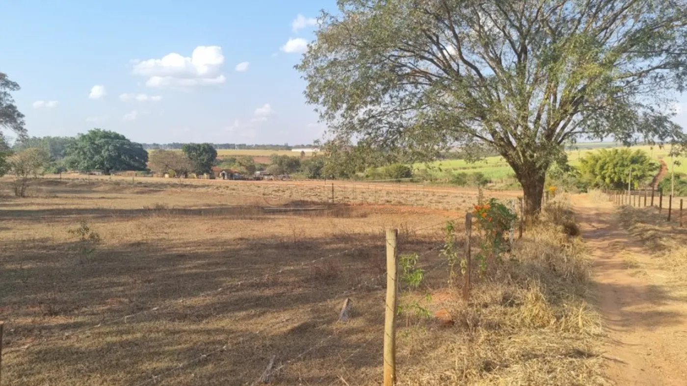 Comprar Rural / &Aacute;rea em Borborema R$ 1.200.000,00 - Foto 7