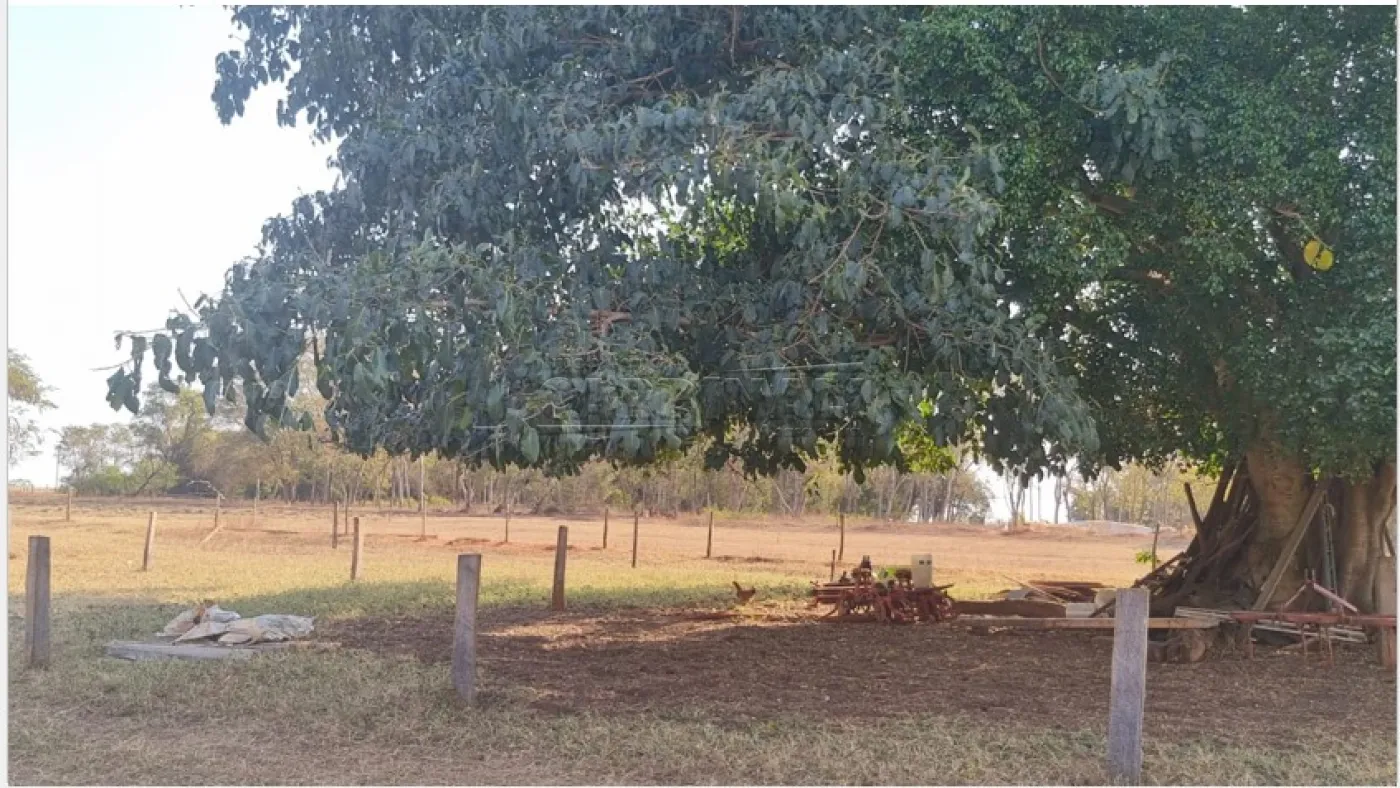 Comprar Rural / &Aacute;rea em Borborema R$ 1.200.000,00 - Foto 8