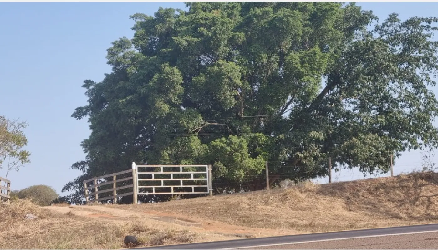 Comprar Rural / &Aacute;rea em Borborema R$ 1.200.000,00 - Foto 2