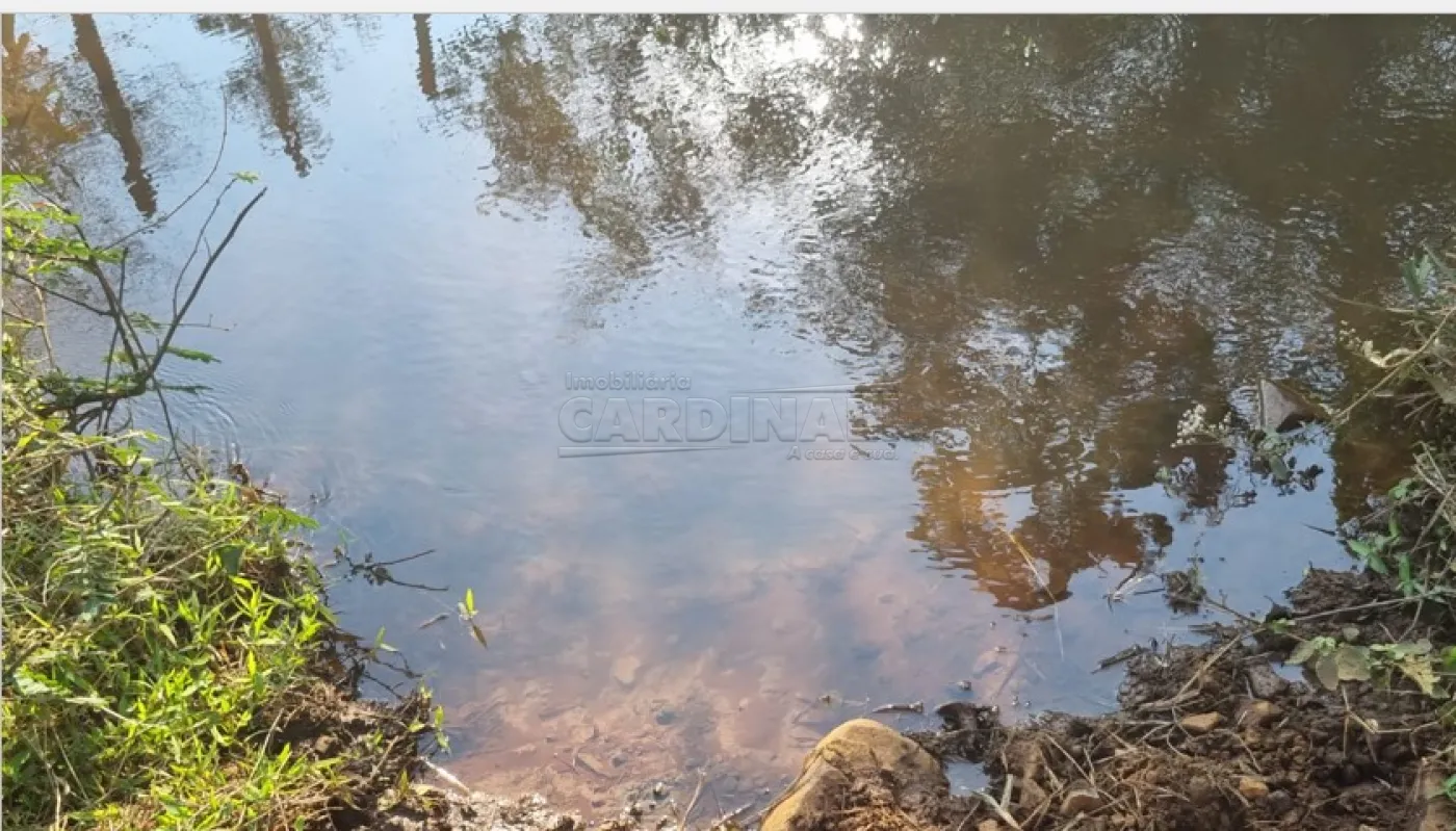 Comprar Rural / &Aacute;rea em Borborema R$ 1.200.000,00 - Foto 9