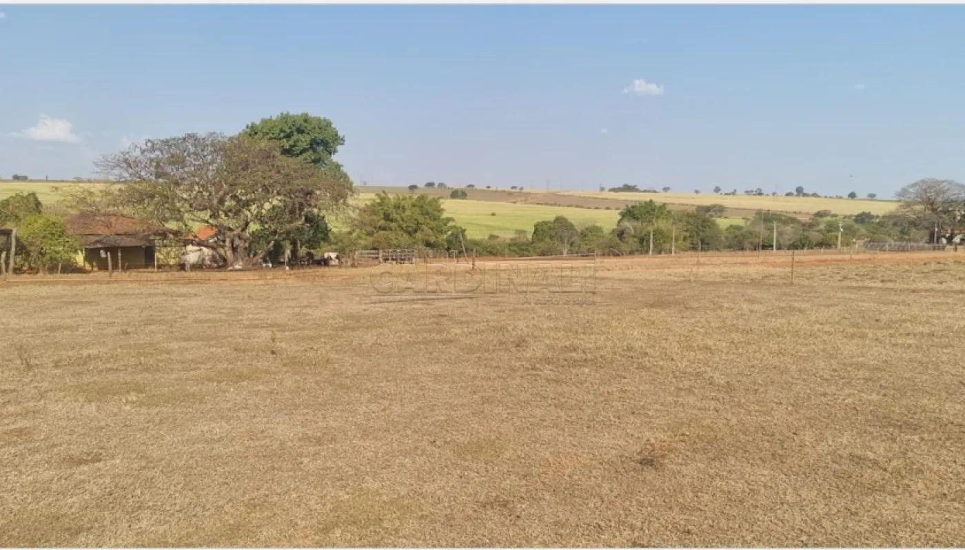 Comprar Rural / &Aacute;rea em Borborema R$ 1.200.000,00 - Foto 10