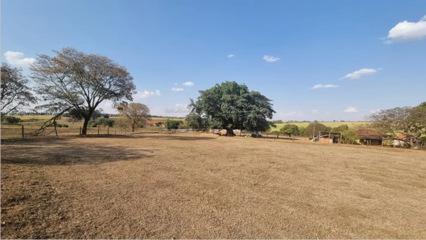 Comprar Rural / &Aacute;rea em Borborema R$ 1.200.000,00 - Foto 11