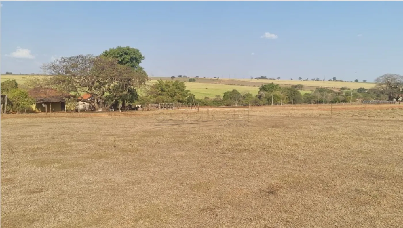 Comprar Rural / &Aacute;rea em Borborema R$ 1.200.000,00 - Foto 12