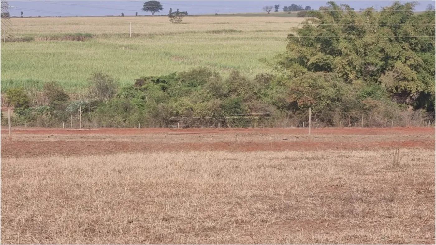 Comprar Rural / &Aacute;rea em Borborema R$ 1.200.000,00 - Foto 13