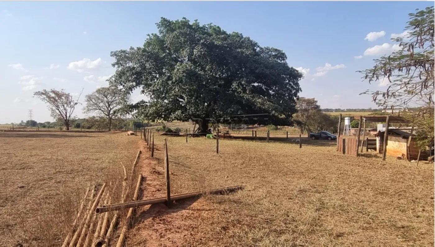 Comprar Rural / &Aacute;rea em Borborema R$ 1.200.000,00 - Foto 14