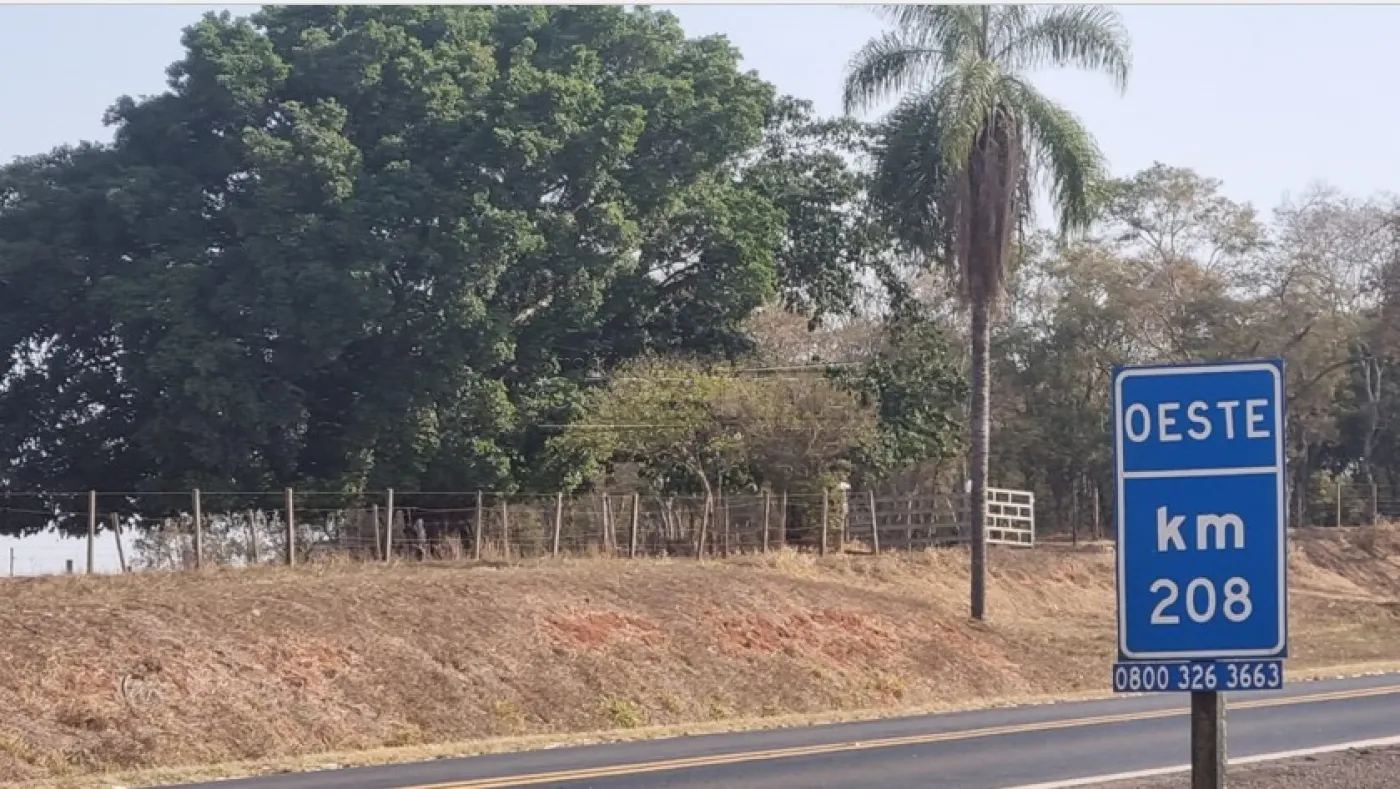 Comprar Rural / &Aacute;rea em Borborema R$ 1.200.000,00 - Foto 3