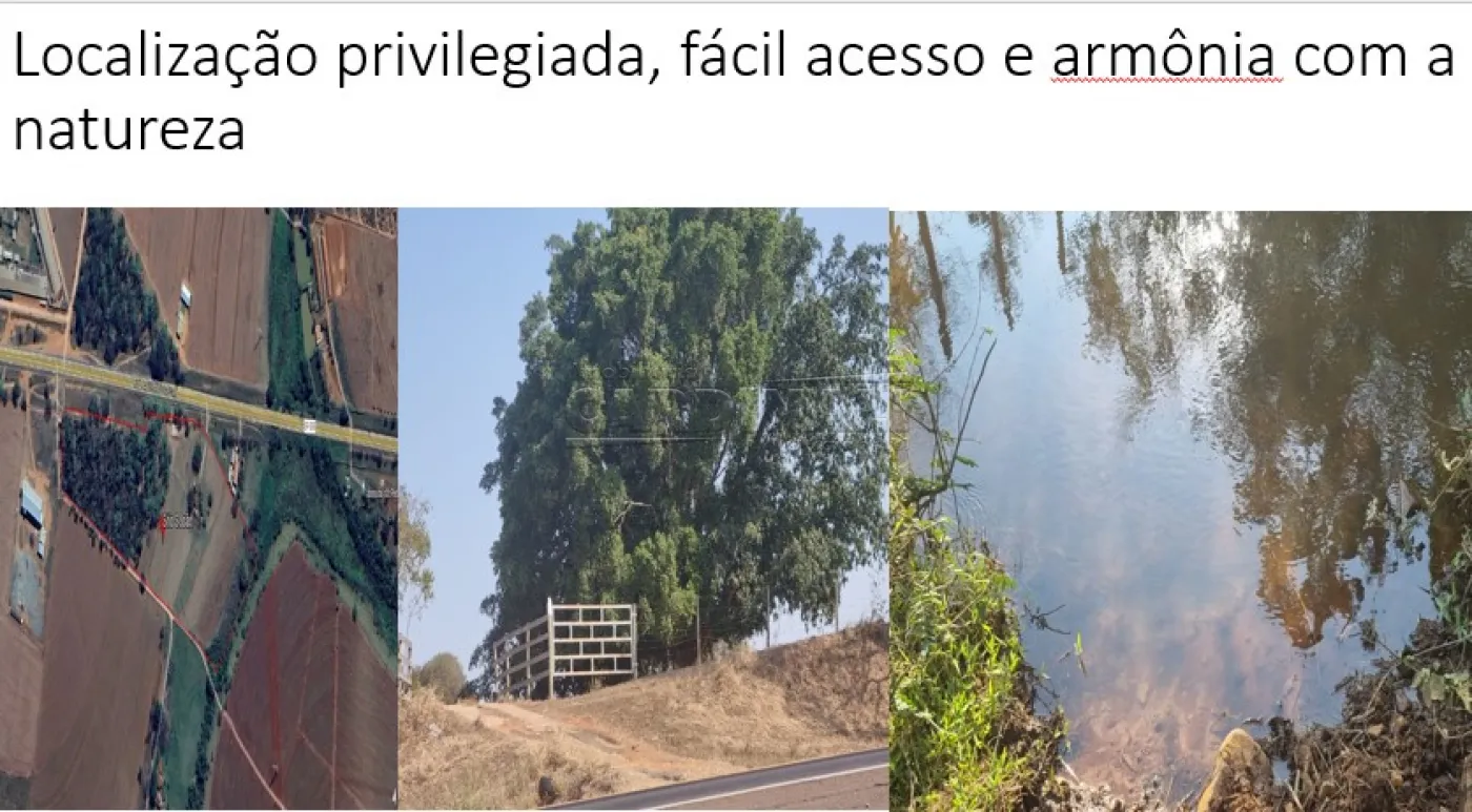 Comprar Rural / &Aacute;rea em Borborema R$ 1.200.000,00 - Foto 16