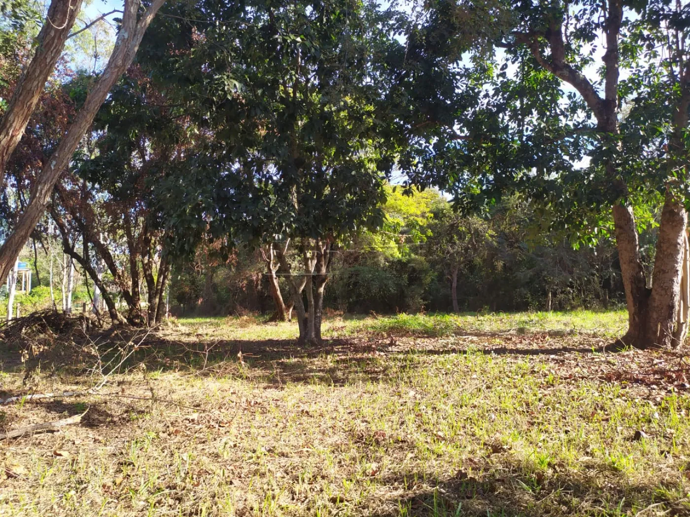 Comprar Rural / Ch&aacute;cara em S&atilde;o Carlos R$ 385.000,00 - Foto 1