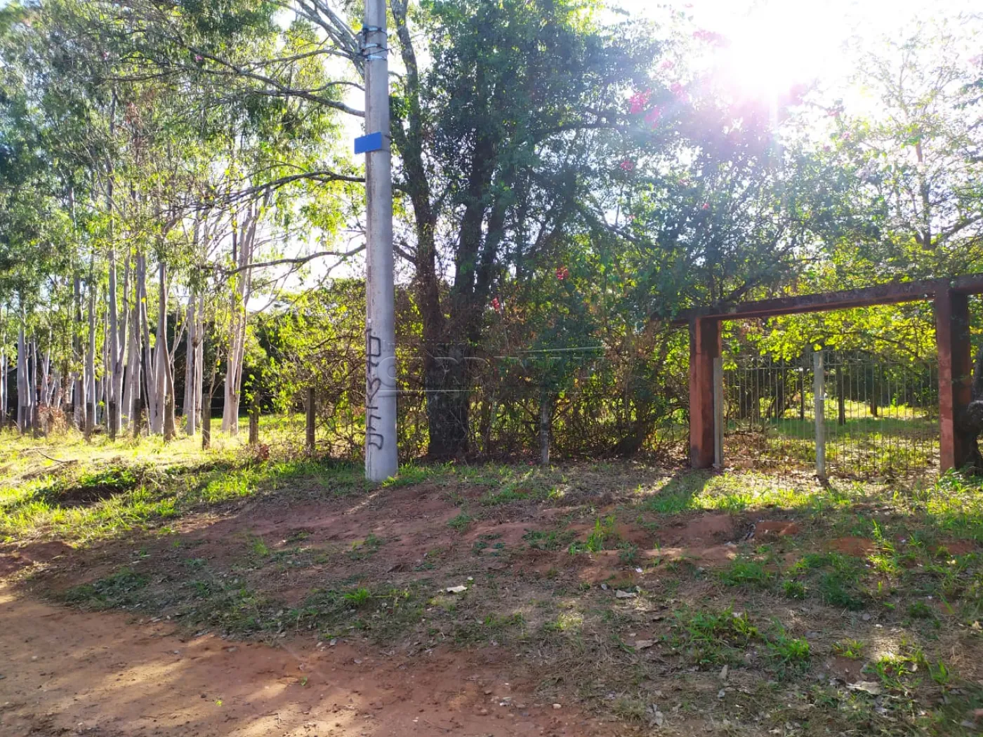 Comprar Rural / Ch&aacute;cara em S&atilde;o Carlos R$ 385.000,00 - Foto 7