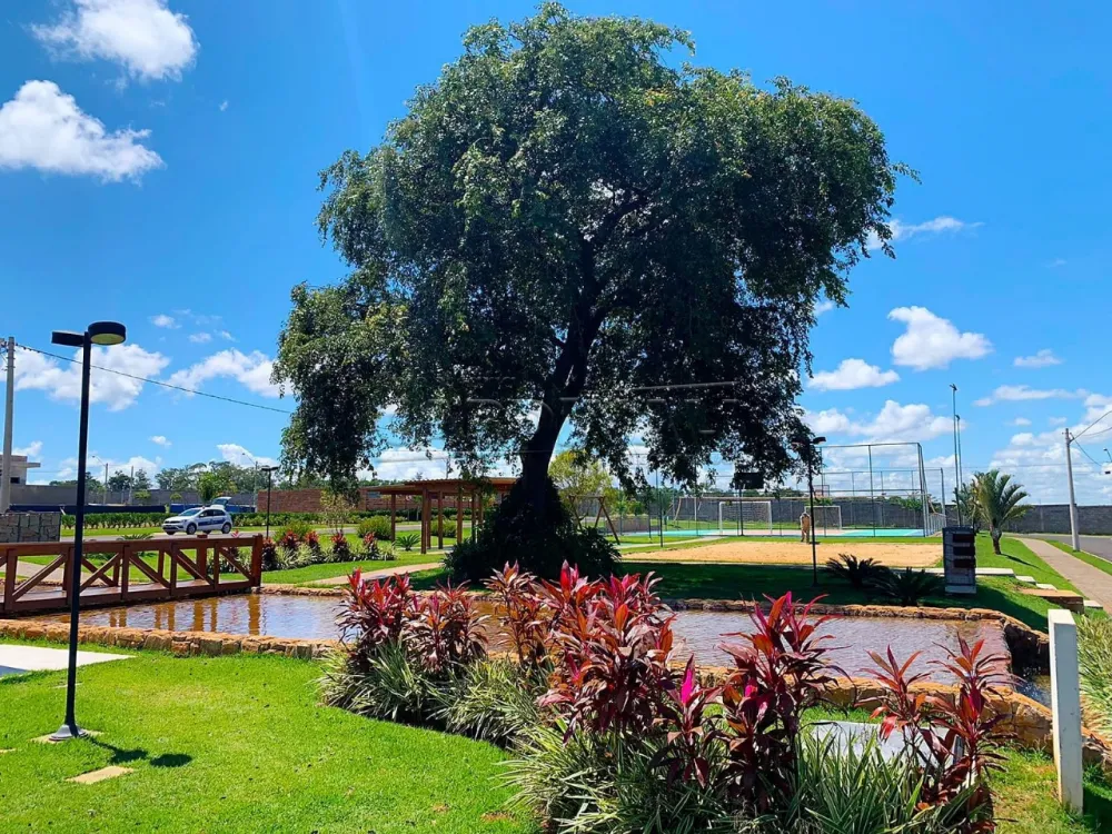 Comprar Casa / Condom&iacute;nio em Araraquara R$ 1.335.600,00 - Foto 39