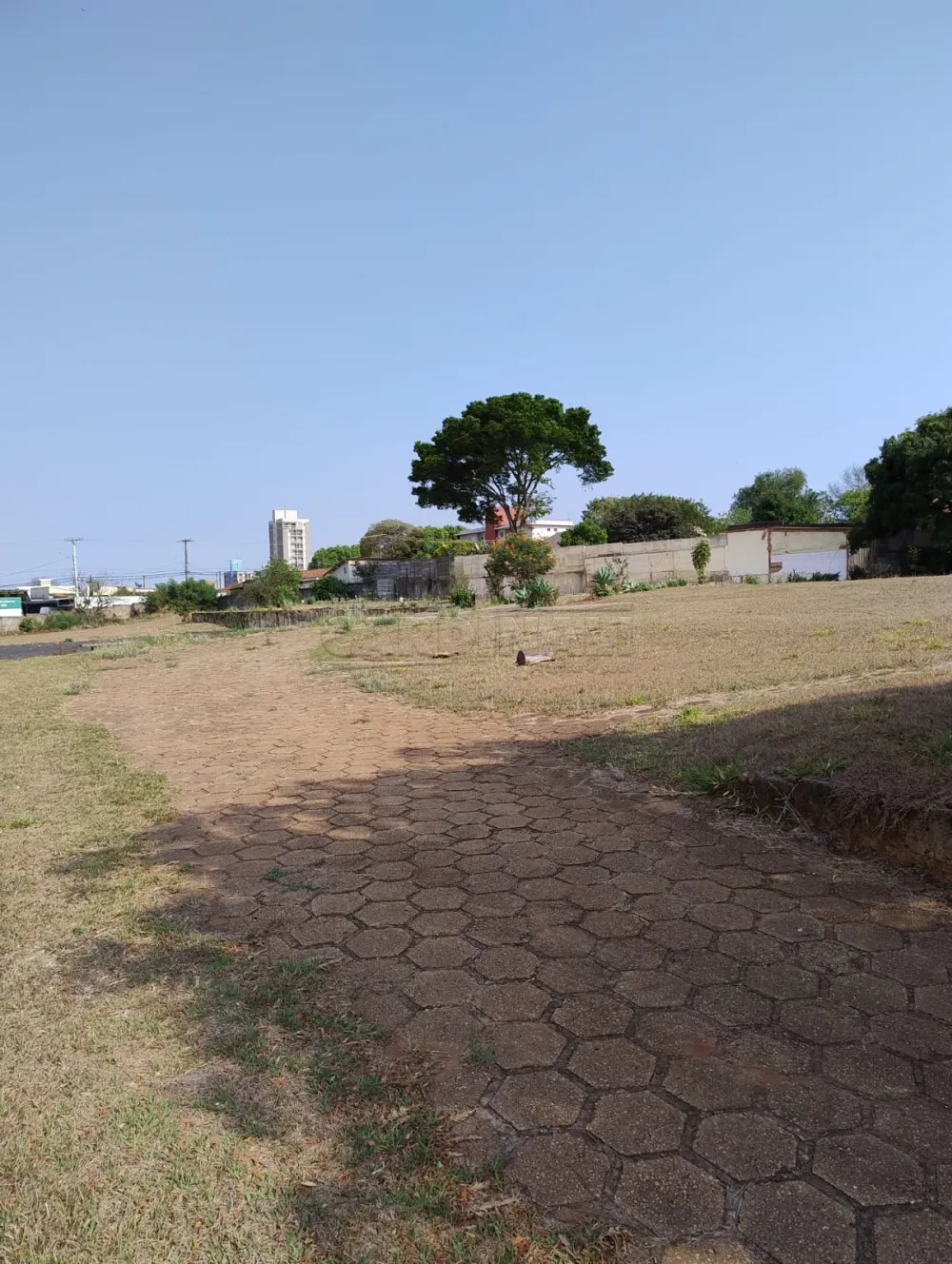 Alugar Comercial / Terreno em S&atilde;o Carlos R$ 25.000,00 - Foto 3