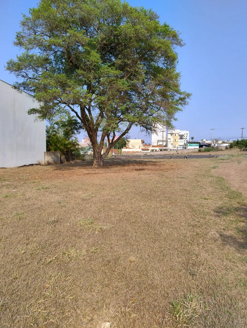 Alugar Comercial / Terreno em S&atilde;o Carlos R$ 25.000,00 - Foto 4