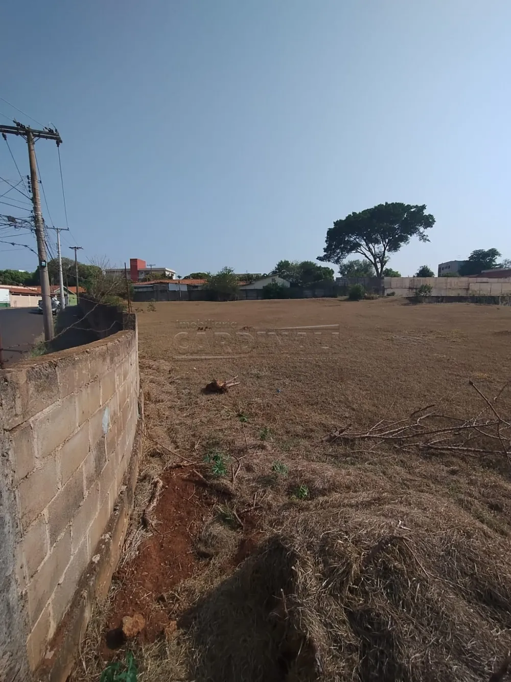 Alugar Comercial / Terreno em S&atilde;o Carlos R$ 25.000,00 - Foto 5