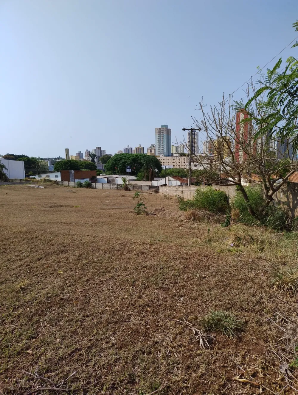 Alugar Comercial / Terreno em S&atilde;o Carlos R$ 25.000,00 - Foto 8