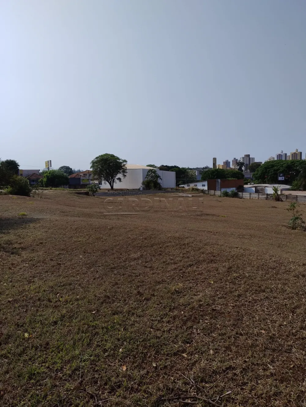 Alugar Comercial / Terreno em S&atilde;o Carlos R$ 25.000,00 - Foto 9