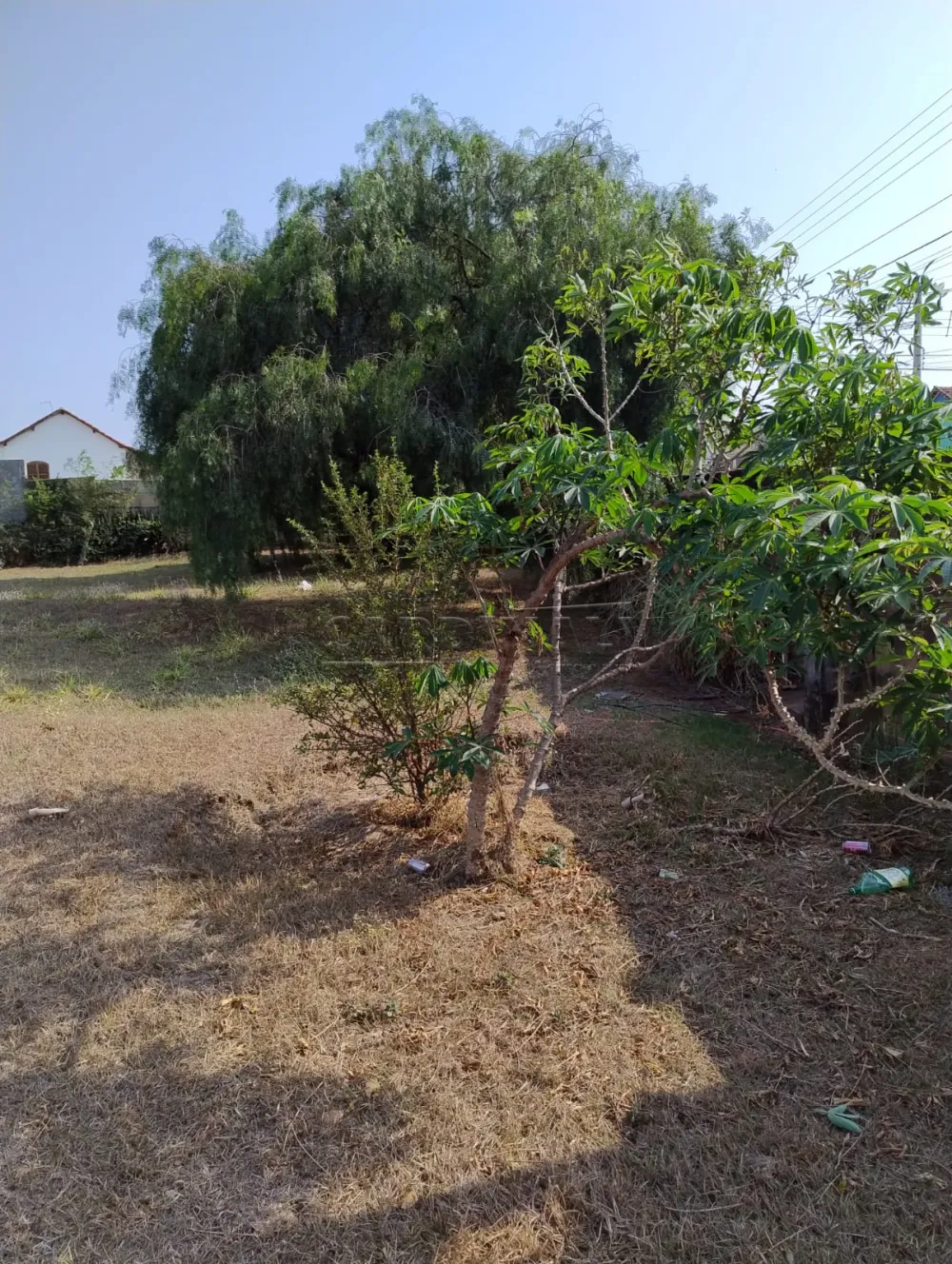 Alugar Comercial / Terreno em S&atilde;o Carlos R$ 25.000,00 - Foto 11