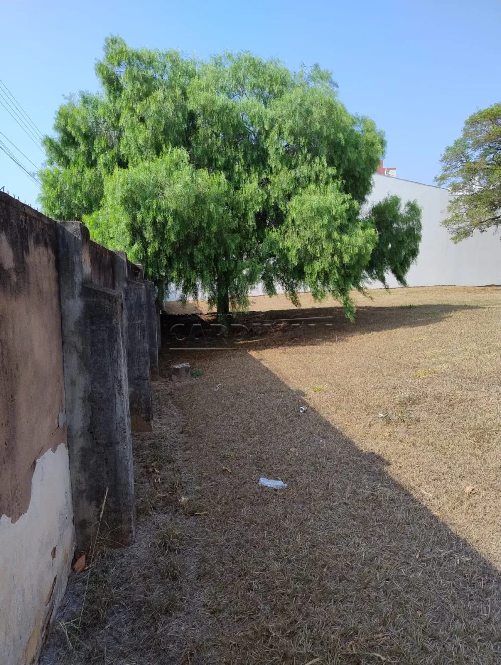 Alugar Comercial / Terreno em S&atilde;o Carlos R$ 25.000,00 - Foto 12