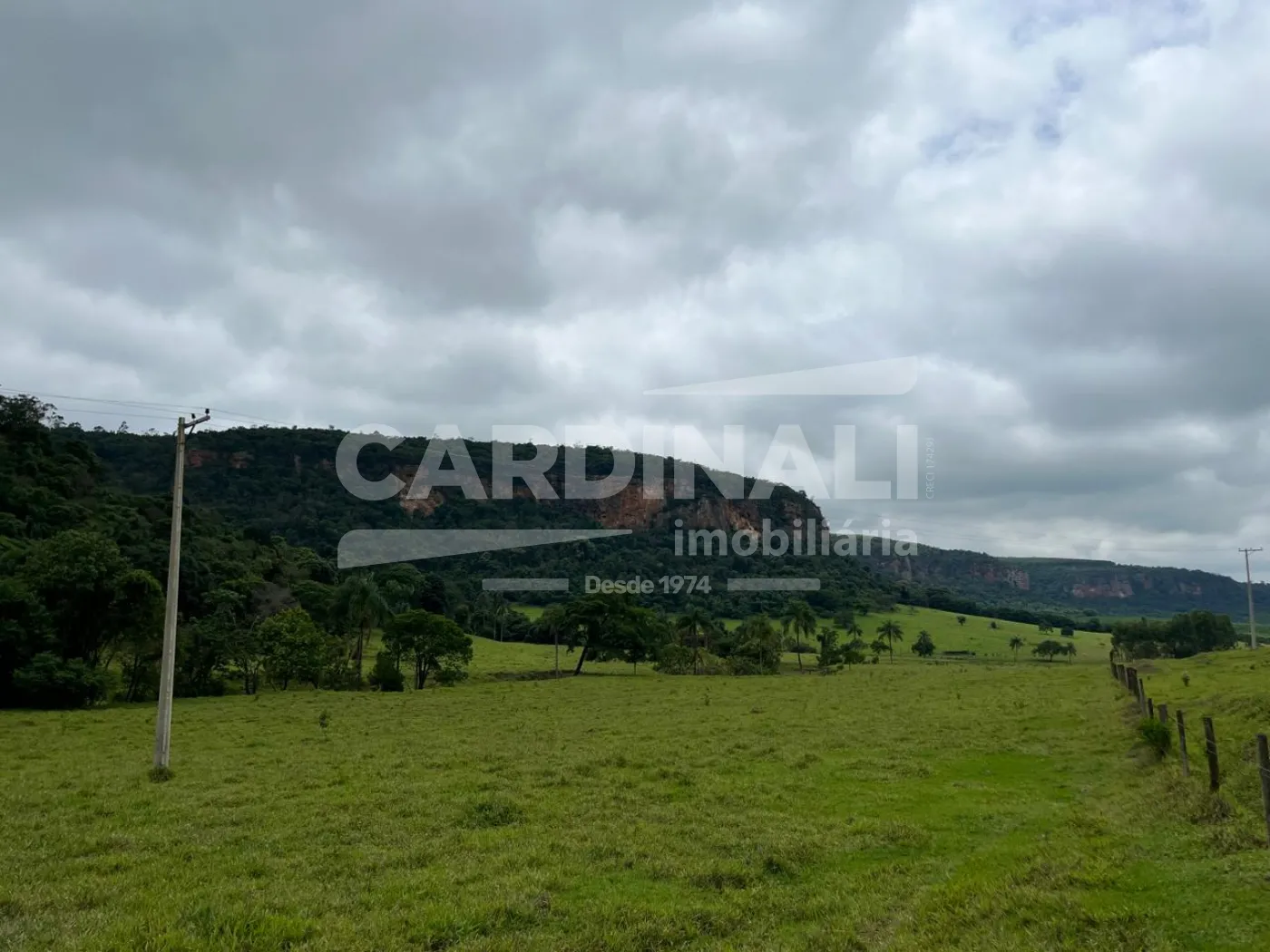 Rural / Fazenda em Anal&acirc;ndia , Comprar por R$2.990.000,00