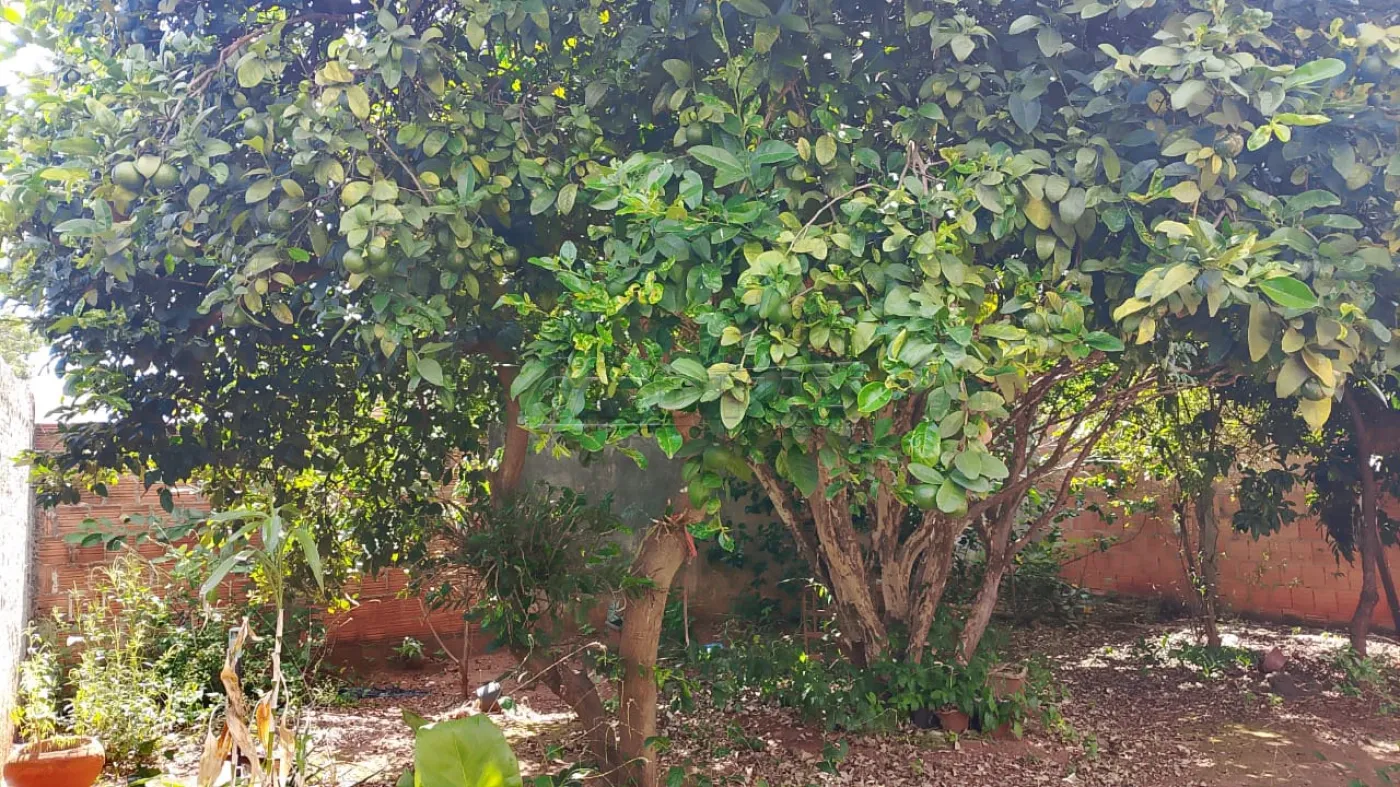 Comprar Casa / Padr&atilde;o em Araraquara R$ 375.000,00 - Foto 14