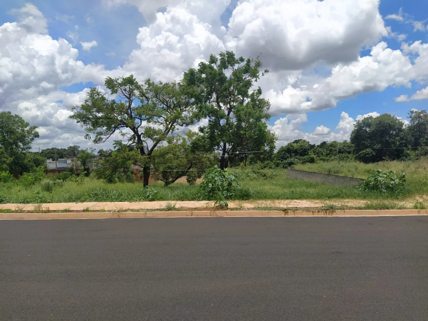 Terreno / Padr&atilde;o em Araraquara 