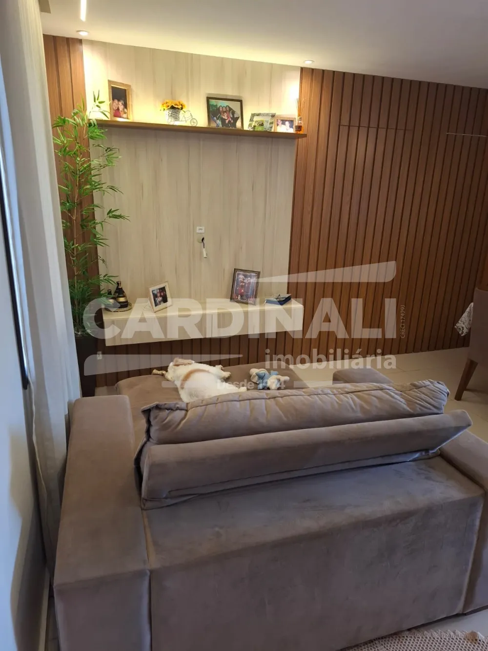 Comprar Apartamento / Padr&atilde;o em Araraquara R$ 260.000,00 - Foto 1