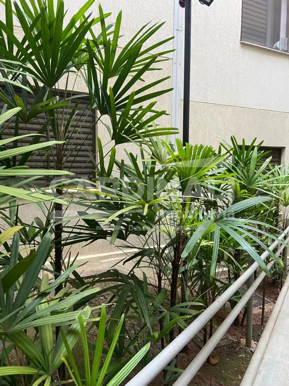 Comprar Apartamento / Padr&atilde;o em Araraquara R$ 150.000,00 - Foto 27