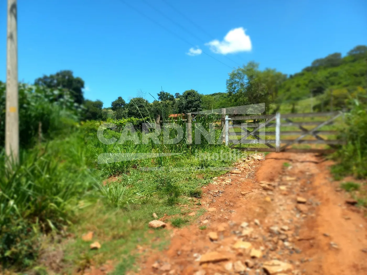 Comprar Rural / S&iacute;tio em S&atilde;o Carlos R$ 2.300.000,00 - Foto 1