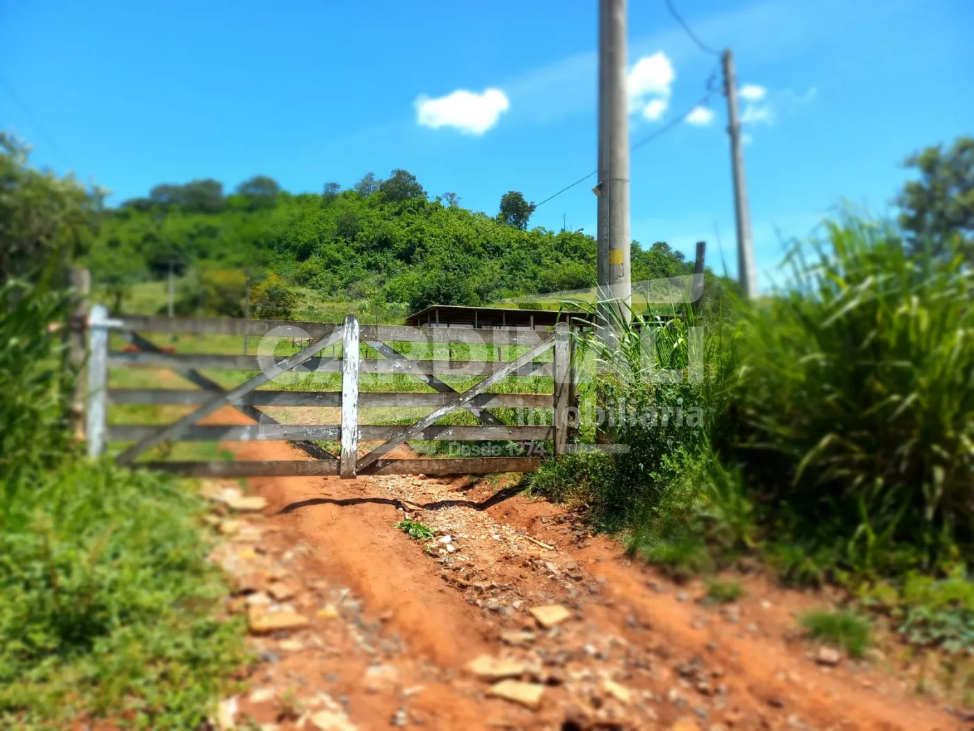 Comprar Rural / S&iacute;tio em S&atilde;o Carlos R$ 2.300.000,00 - Foto 2
