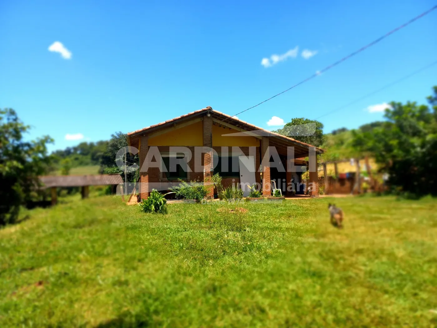 Comprar Rural / S&iacute;tio em S&atilde;o Carlos R$ 2.300.000,00 - Foto 5