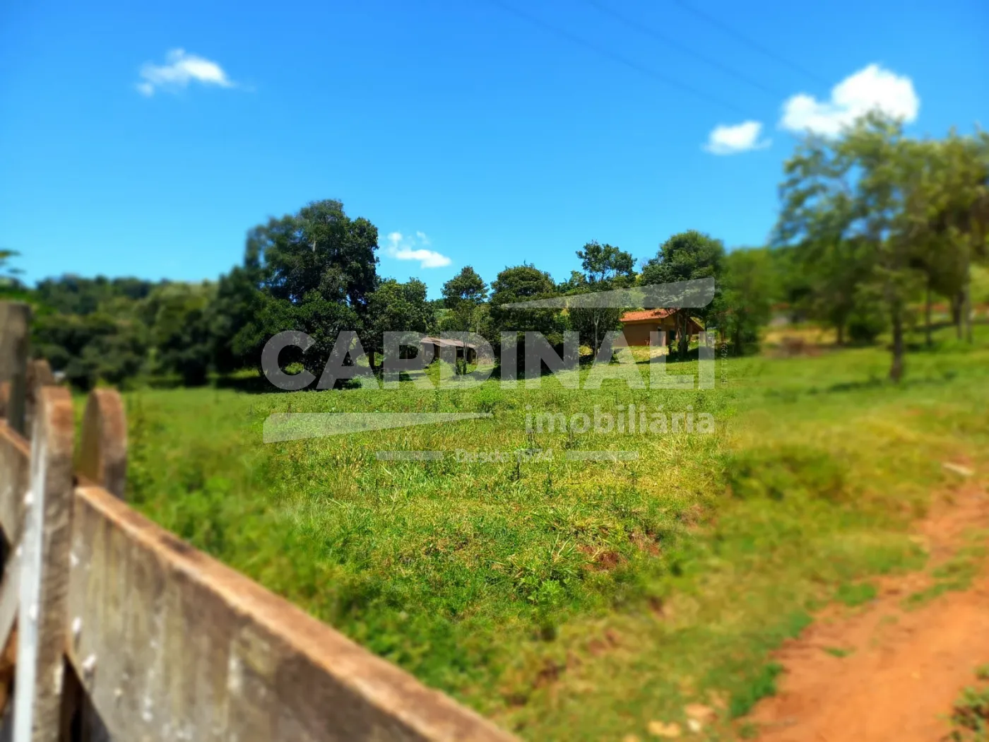 Comprar Rural / S&iacute;tio em S&atilde;o Carlos R$ 2.300.000,00 - Foto 6