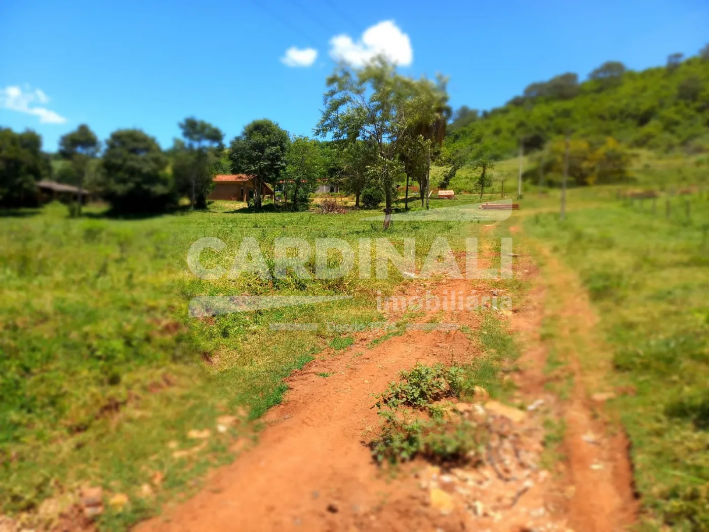 Comprar Rural / S&iacute;tio em S&atilde;o Carlos R$ 2.300.000,00 - Foto 8