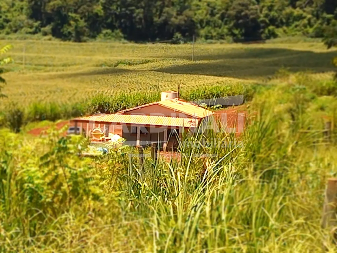 Comprar Rural / S&iacute;tio em S&atilde;o Carlos R$ 2.300.000,00 - Foto 11