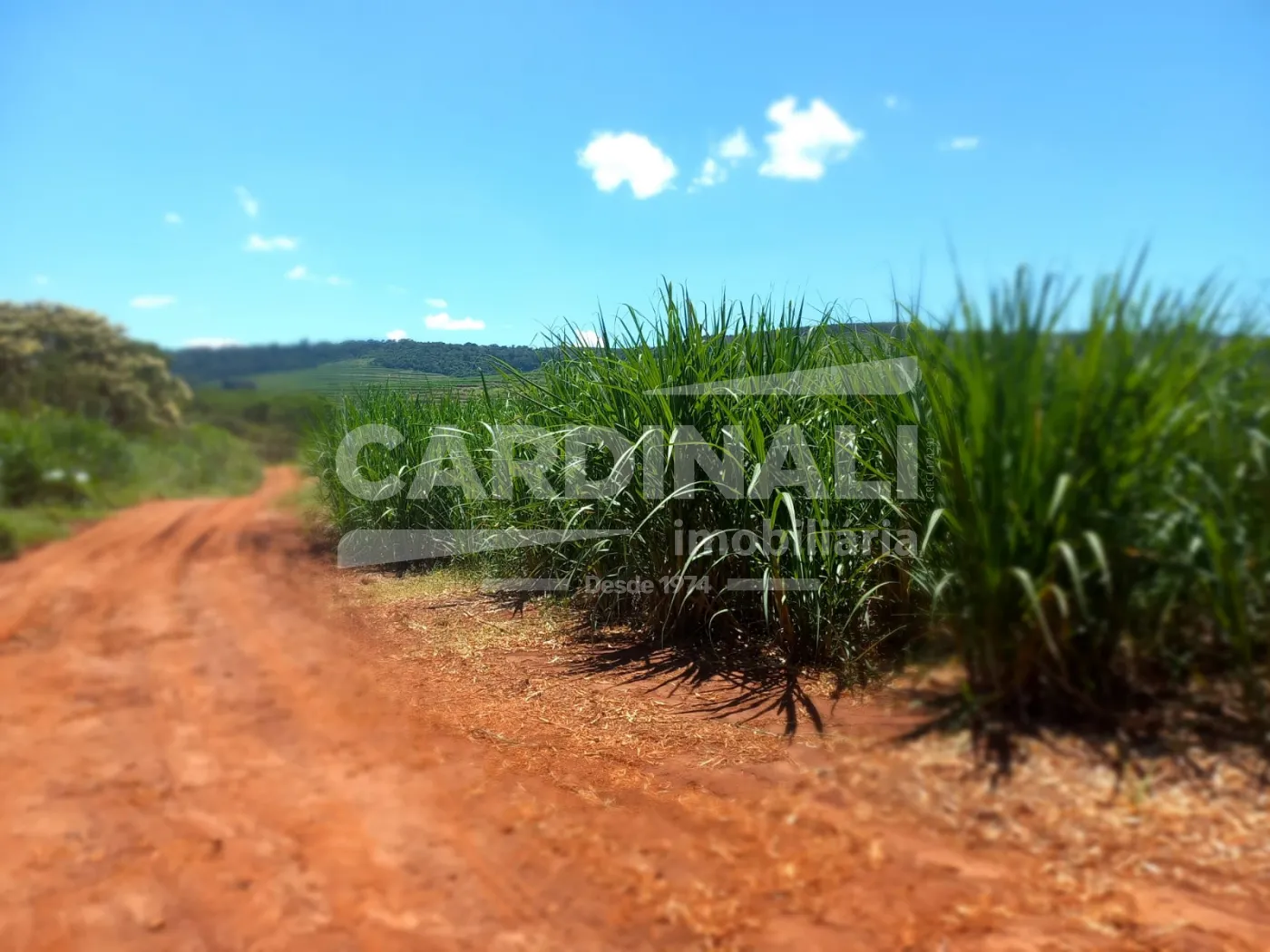 Comprar Rural / S&iacute;tio em S&atilde;o Carlos R$ 2.300.000,00 - Foto 10