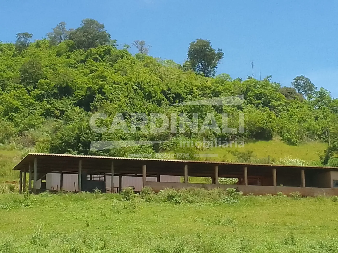 Comprar Rural / S&iacute;tio em S&atilde;o Carlos R$ 2.300.000,00 - Foto 14