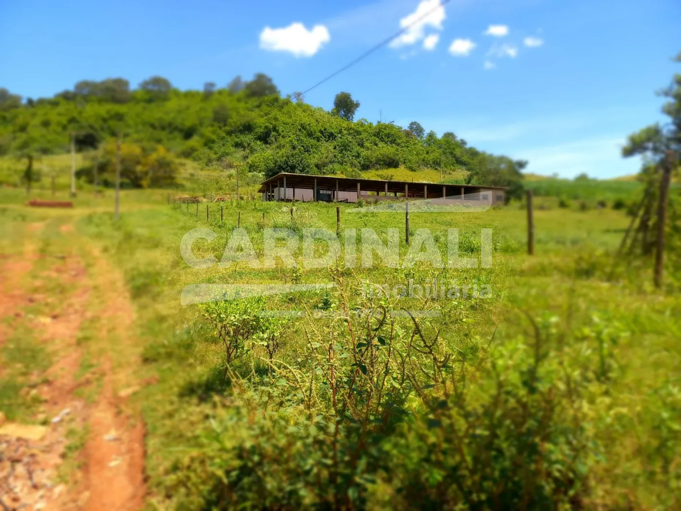 Comprar Rural / S&iacute;tio em S&atilde;o Carlos R$ 2.300.000,00 - Foto 18