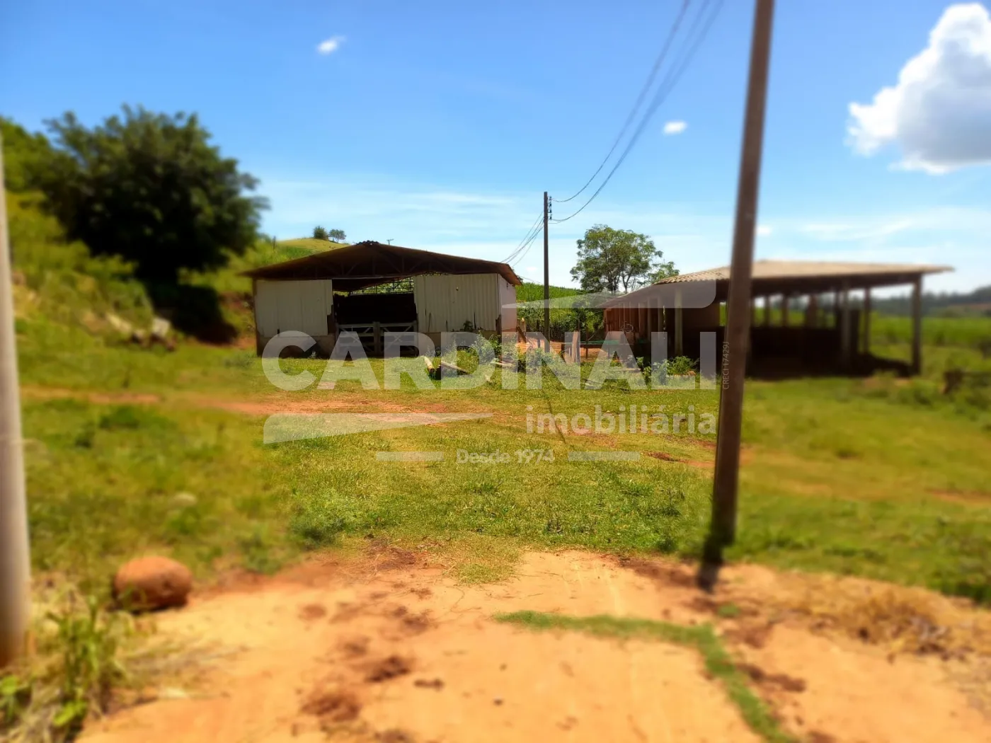 Comprar Rural / S&iacute;tio em S&atilde;o Carlos R$ 2.300.000,00 - Foto 19