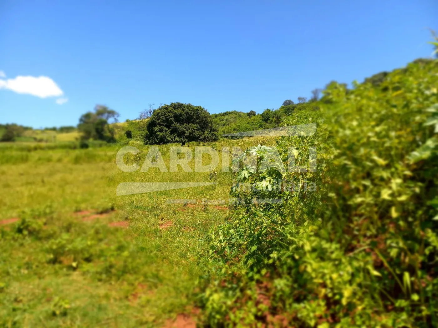 Comprar Rural / S&iacute;tio em S&atilde;o Carlos R$ 2.300.000,00 - Foto 22